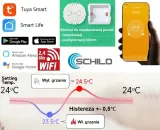 tuya-wifi-sterownik-pieca-termostat-regulator-gaz-rodzaj-regulator-pokojowy-typ-pieca-dwufunkcyjny-dwufunkcyjny-z-zasobnikiem-cwu-jednofunkcyjny-komora-spalania-inny