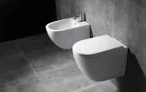 misa-wc-podwieszana-carlo-mini-rimless-basic-rea-linia-carlo-mini