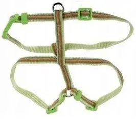 zolux-szelki-color-line-10mm-zielone