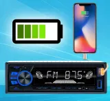 radio-samochodowe-1din-renault-master-1998-2003-funkcje-korektor-dzwieku-odtwarzanie-muzyki-z-iphone-a-ipoda