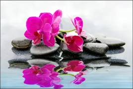 fototapeta-3d-kwiaty-orchidea-kamienie-spa-240x360