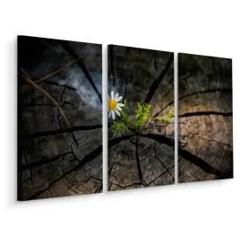 obraz-tryptyk-kwiat-w-pniu-drzewa-efekt-3d-120x80