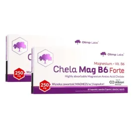 olimp-chela-mag-b6-forte-120kap-mega-magnez-chelat