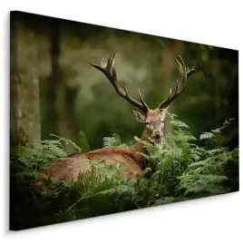 obraz-do-salonu-jelen-las-zielen-natura-3d-120x80