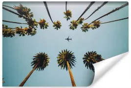 fototapeta-do-biura-samolot-palmy-rosliny-450x300