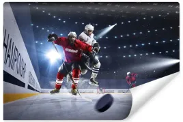 fototapeta-na-silownie-hokej-sport-trening-400x280