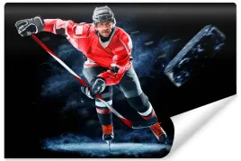 fototapeta-mlodziezowa-hokeista-sport-3d-450x300