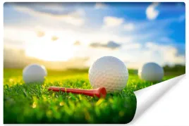 fototapeta-do-garazu-pilka-golf-sport-3d-450x300
