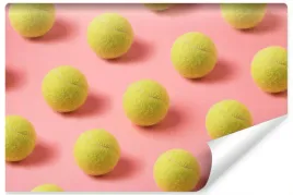fototapeta-na-silownie-tenis-pilki-roz-3d-400x280