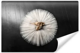 fototapeta-buty-do-baletu-spodniczka-tutu-450x300