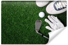 fototapeta-do-biura-golf-sport-trawa-pilka-450x300
