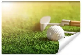 fototapeta-do-biura-golf-sport-pilka-trawa-450x300