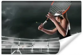 fototapeta-do-biura-tenis-sport-boisko-3d-450x300