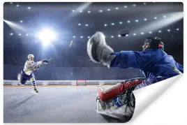 fototapeta-na-silownie-hokej-sport-dekor-450x300