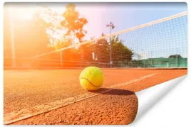 fototapeta-do-biura-boisko-tenis-sport-3d-400x280