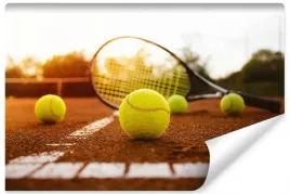 fototapeta-do-silowni-sport-tenis-boisko-450x300