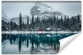 fototapeta-jezioro-w-gorach-las-zima-3d-400x280