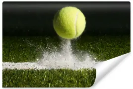 fototapeta-na-silownie-tenis-sport-boisko-400x280