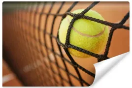 fototapeta-do-biura-sport-tenis-pilka-3d-450x300