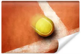 fototapeta-do-biura-tenis-sport-pilka-3d-450x300