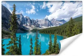 fototapeta-jezioro-w-gorach-drzewa-pejzaz-450x300
