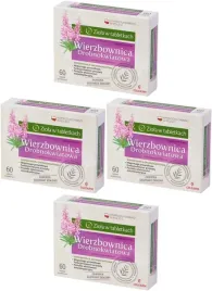 wierzbownica-drobnokwiatowa-na-prostate-60tabl
