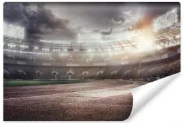 fototapeta-mlodziezowa-stadion-sportowy-3d-450x300