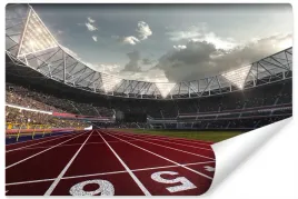 fototapeta-bieznia-sport-stadion-pilkarski-450x300