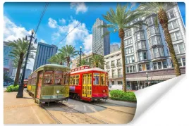 fototapeta-mlodziezowa-new-orleans-palmy-450x300