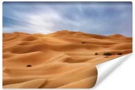 fototapeta-do-salonu-abu-dhabi-pustynia-3d-450x300