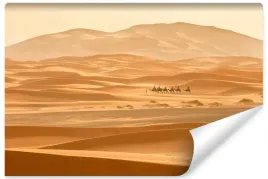 fototapeta-do-salonu-panorama-pustynia-3d-450x300