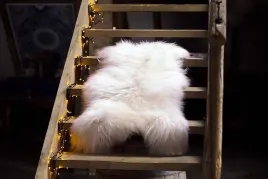 estro-dywan-z-owczej-skory