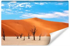 fototapeta-dla-mlodziezy-pustynia-natura-450x300