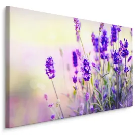 obraz-do-sypialni-kwiaty-lawendy-natura-3d-70x50