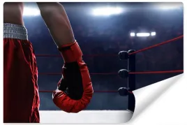 fototapeta-na-silownie-sport-boks-trening-450x300