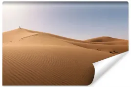 fototapeta-do-salonu-pustynia-sahara-3d-450x300