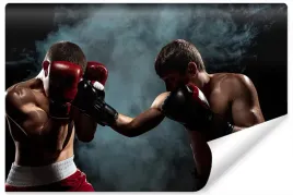 fototapeta-mlodziezowa-boks-sportowcy-3d-400x280