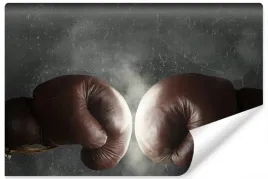 fototapeta-mlodziezowa-rekawice-boks-sport-450x300