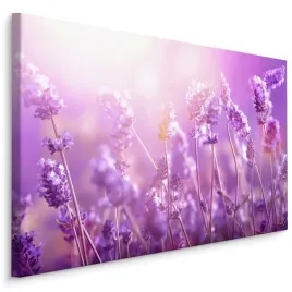 obraz-do-sypialni-kwiaty-lawendy-natura-3d-30x20