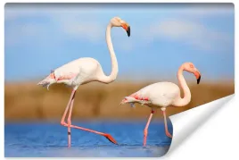 fototapeta-do-sypialni-flamingi-natura-3d-450x300