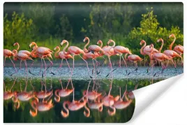 fototapeta-do-salonu-flamingi-ptaki-natura-450x300