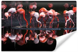 fototapeta-do-salonu-stado-flamingow-ptaki-450x300