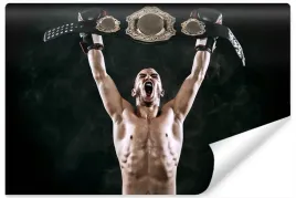 fototapeta-mlodziezowa-boks-sport-fitness-450x300