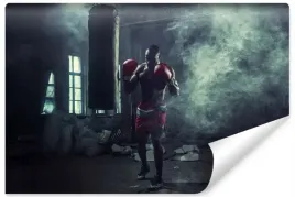 fototapeta-do-garazu-bokser-sport-trening-450x300