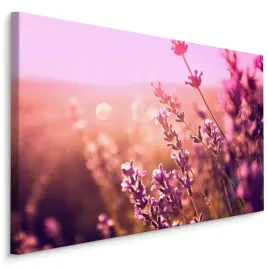 obraz-canvas-kwiaty-lawendy-natura-dekor-3d-90x60