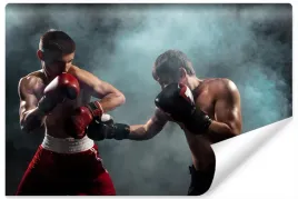 fototapeta-dla-mlodziezy-boks-trening-sport-400x280