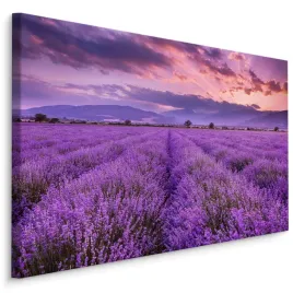 obraz-na-plotnie-lawendowy-pejzaz-natura-3d-70x50