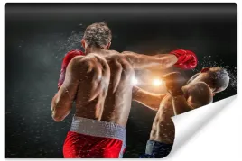 fototapeta-mlodziezowa-sport-boks-walka-3d-450x300
