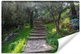 fototapeta-do-salonu-schody-las-natura-3d-450x300