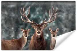 fototapeta-dzikie-zwierzeta-jelen-las-3d-450x300